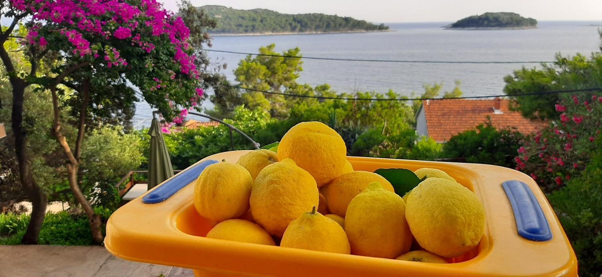 Apartman Ena By The Sea Prizba Luaran gambar